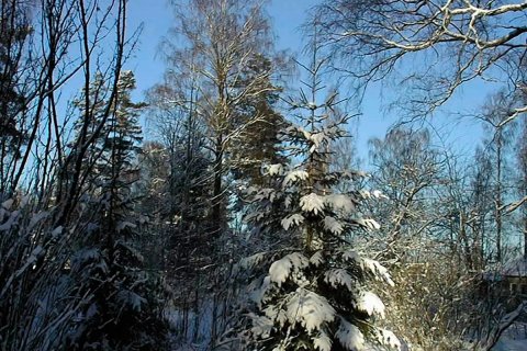 Finland-_1_.jpg