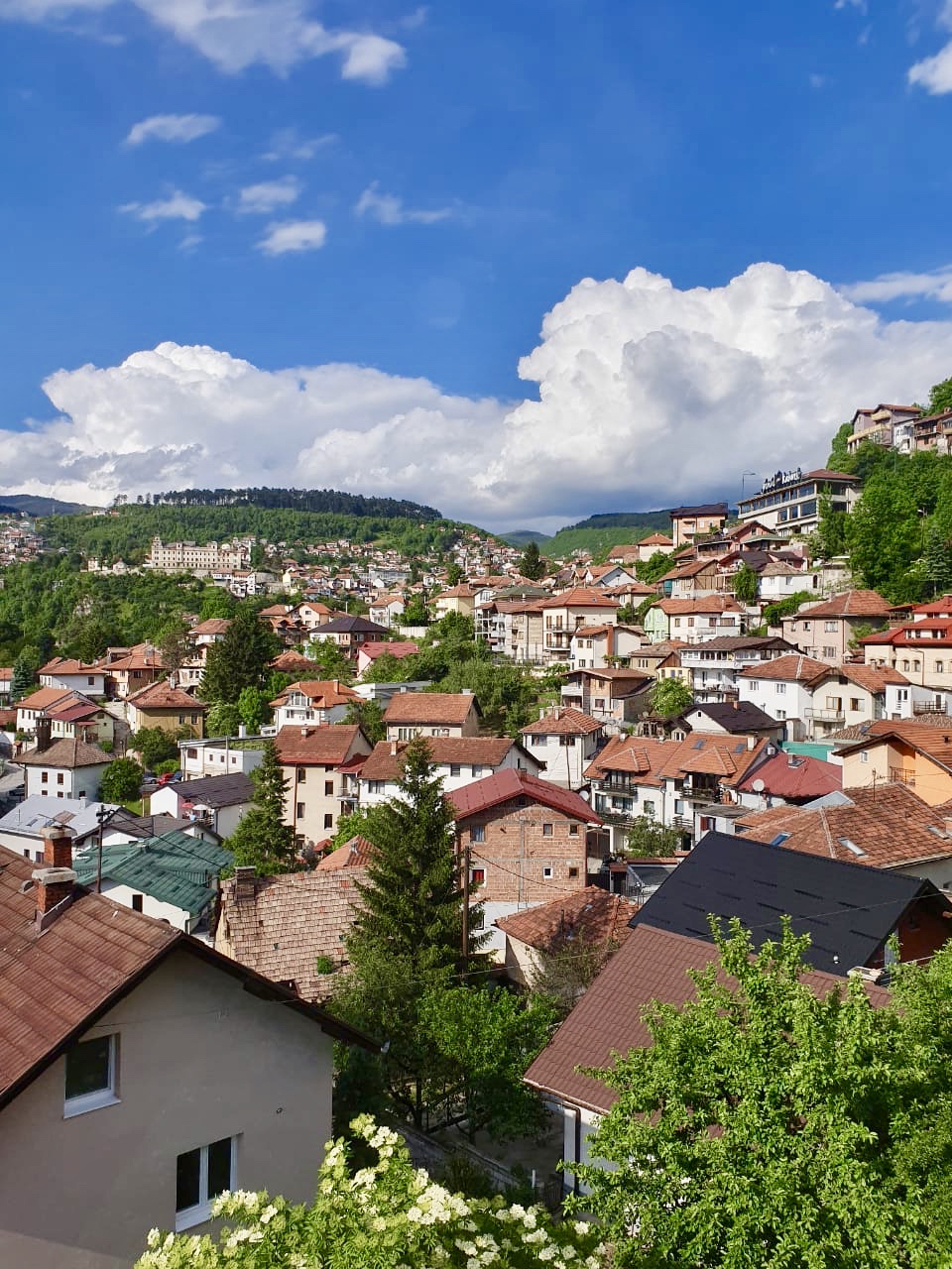 Bosnia_(2).jpg
