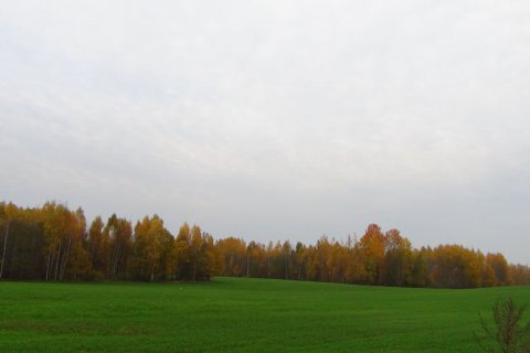 Belarus_(4).jpg